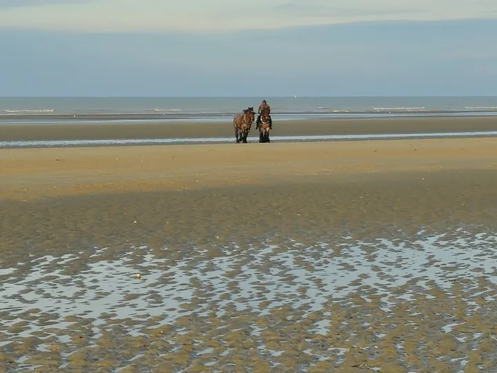 Oostnieuwkerke duinen wandeling in de koude (België)